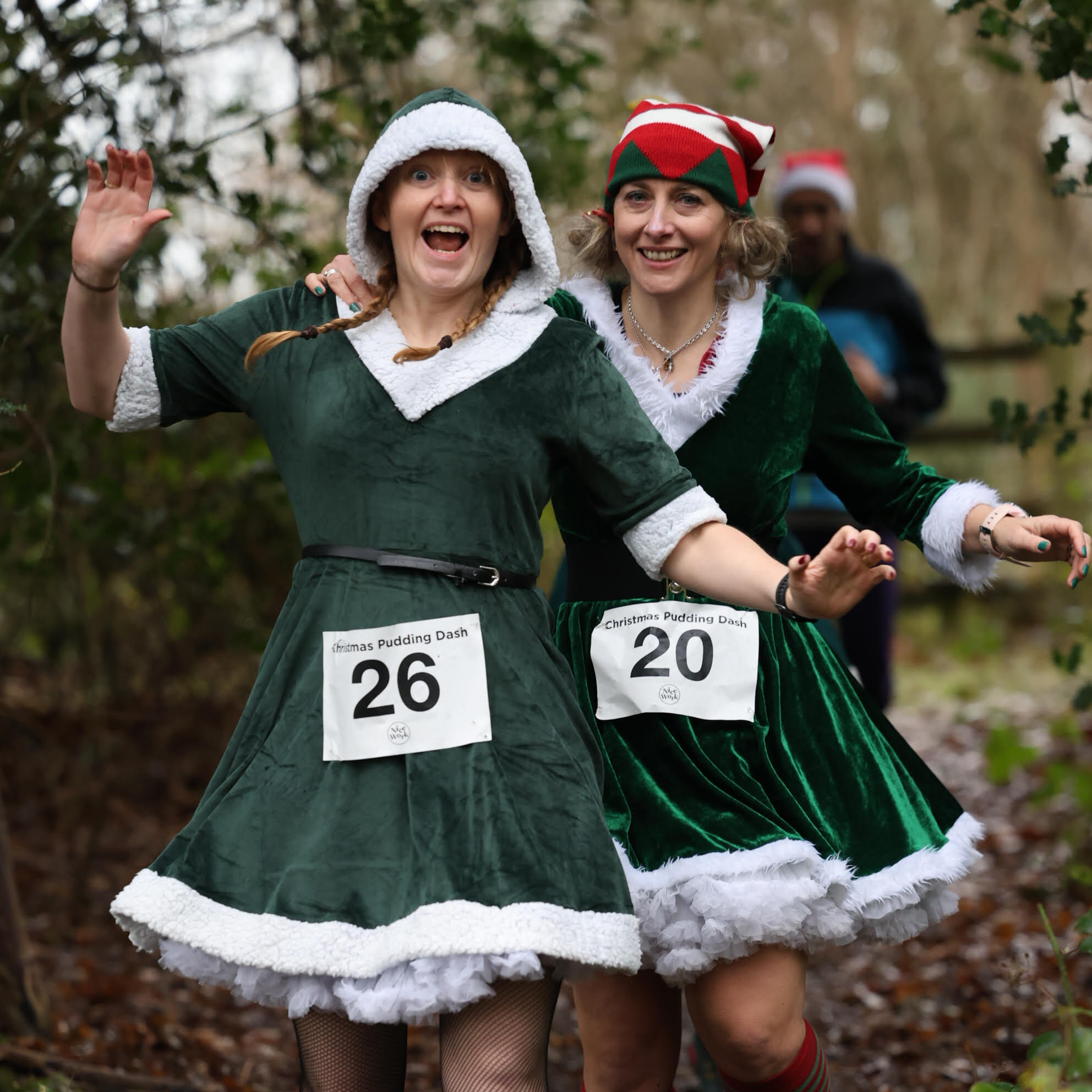 christmas pudding dash pett 2024 1 rs
