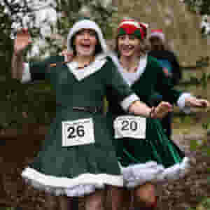 christmas pudding dash pett 2024 1 rs