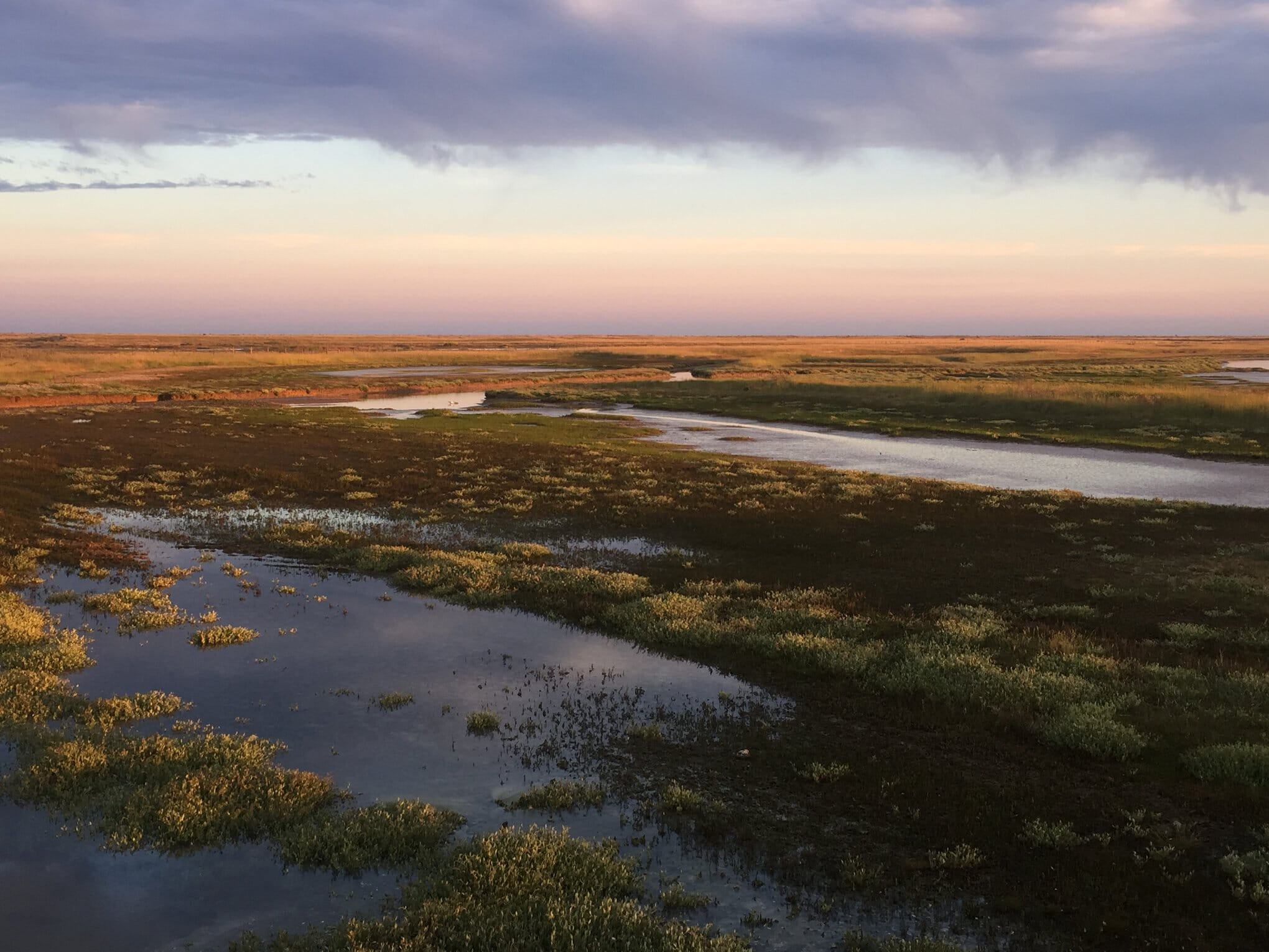 Enjoy every spellbinding step through the stunning landscape of Rye Harbour Nature Reserve in this exceptional summer series. Enter one or enter more and watch your times improve.