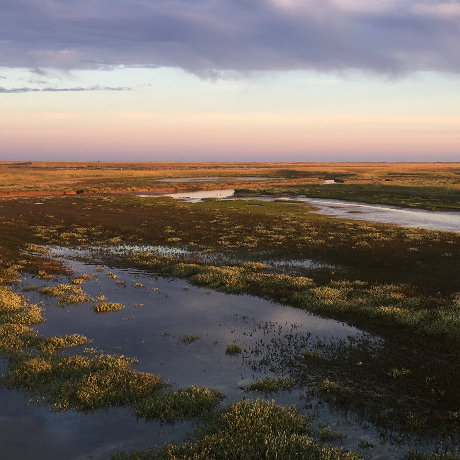 rye series landscape 2 rs