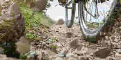 Thrive Gravel