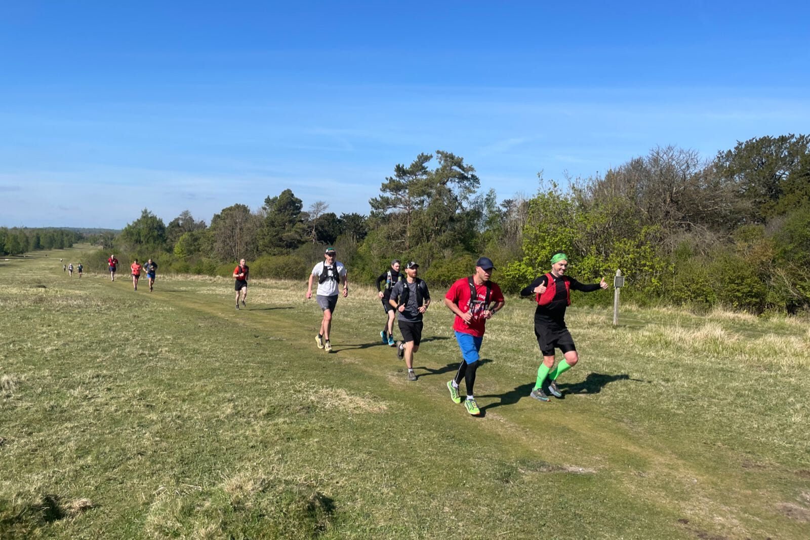 Climb from valley to summit on a guided hill-challenge up Box Hill and surrounding area, tackling steep woodland trails and gritty elevation in one of southern England’s toughest guided trail runs.