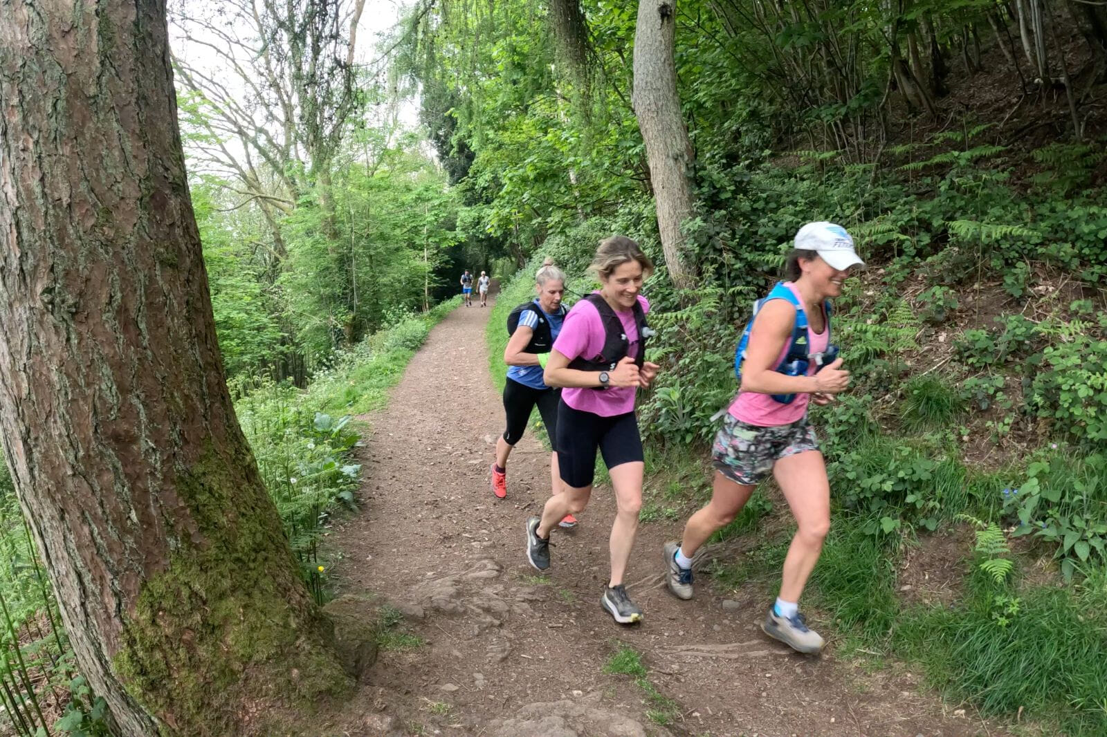As seen in James Bond and Avengers! Take your own slice of the action on a stunning guided trail run jam-packed with interest in an area home to an abundance of rare wildlife.