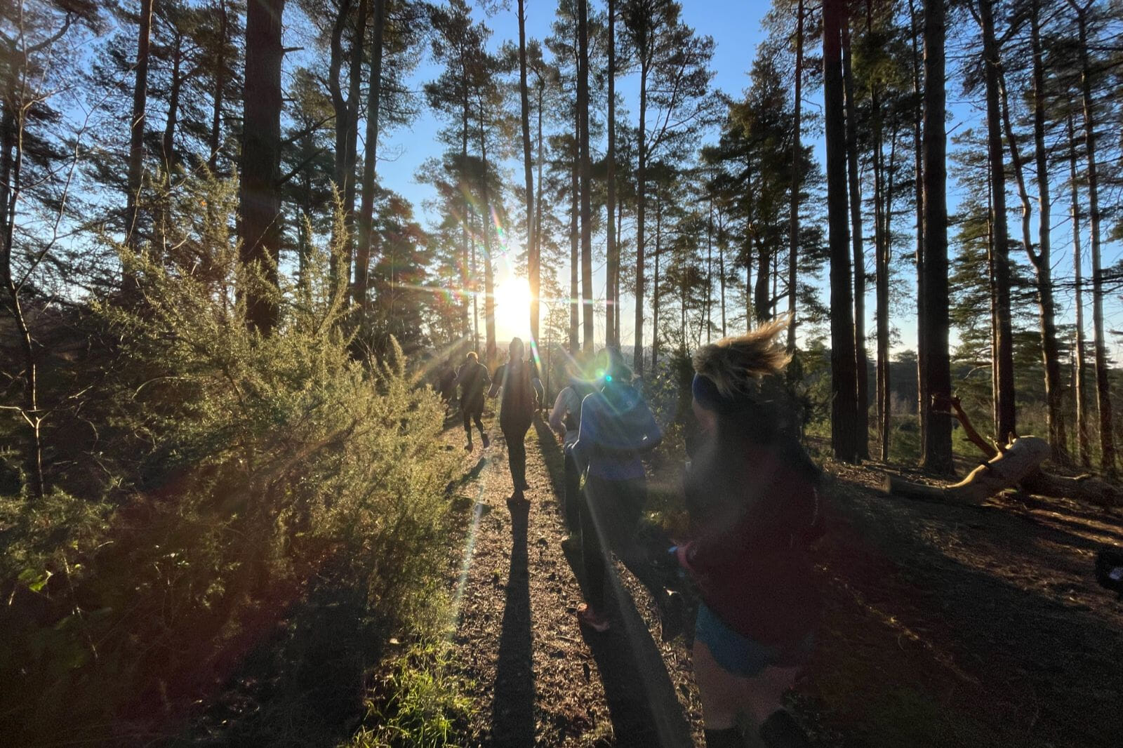 Explore the beauty of the Surrey Hills on a guided trail half marathon through the scenic Area of Outstanding Natural Beauty, with woodland trails, hills and sweeping views.