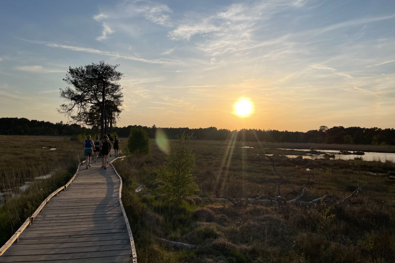 Explore peaceful heathland trails on a guided run through Thursley National Nature Reserve, weaving through rare landscapes of open heath, boardwalks and woodland in the Surrey Hills.