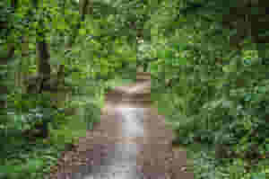 Virtual