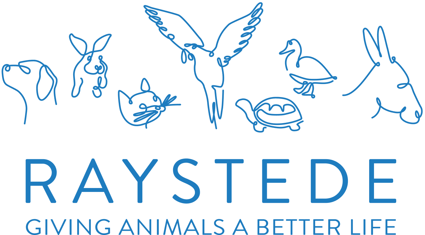 Raystede Centre for Animal Welfare