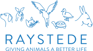Raystede Centre for Animal Welfare