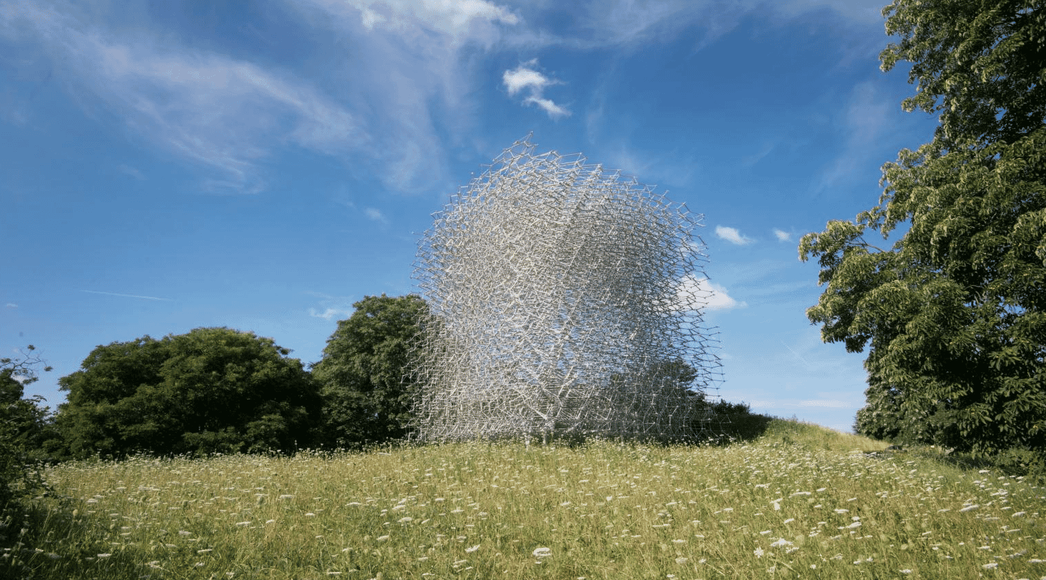 The Hive