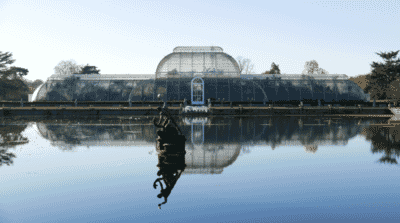 Palm House