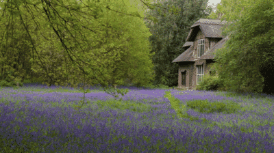 Queen Charlotte's Cottage