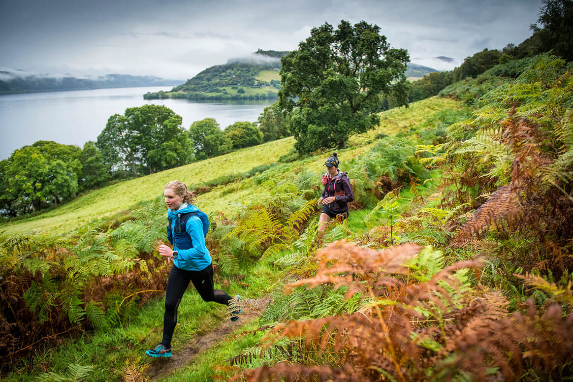 cc8cd0 4cb9e6a5fa0f41a19a63c42743990c69~mv2