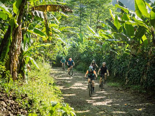 Jungle mountain biking