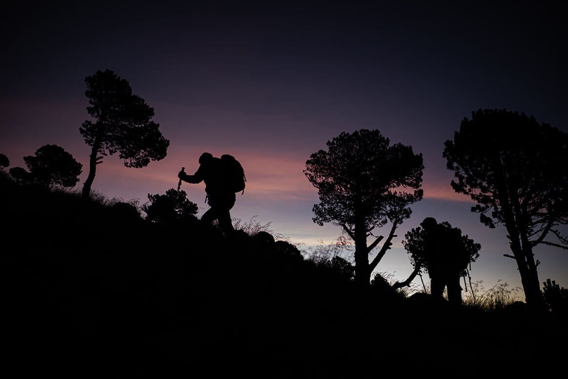 cc8cd0 d4bb7d4e705d4793955b885cd9a66c00~mv2