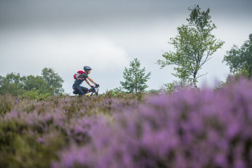 Ride through heather moorland
