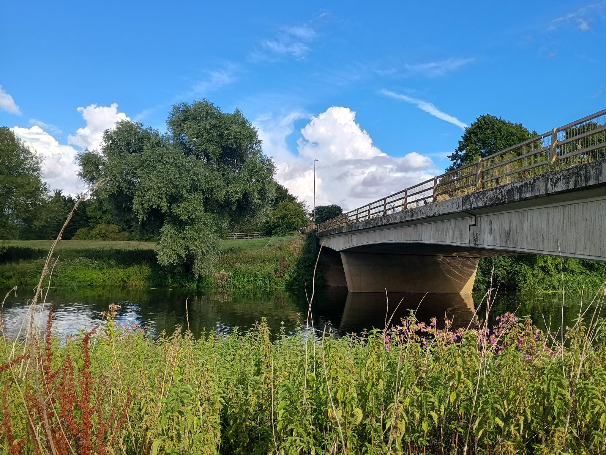 b1172e24 b255 4273 870f 528bca32af1f