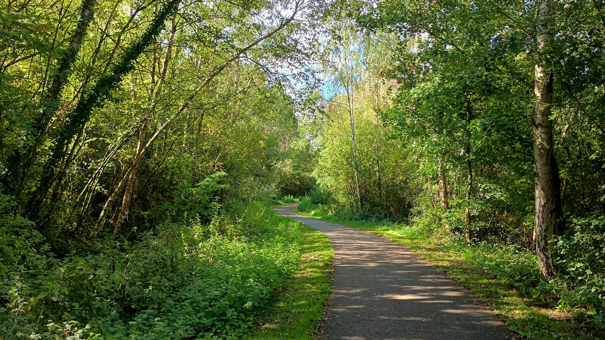Welcome to a 6-hour timed running event where you can run a 5K all the way up to an ultra marathon on an out-and-back route within the time limit, with fuel stations, medal and goody bag.
