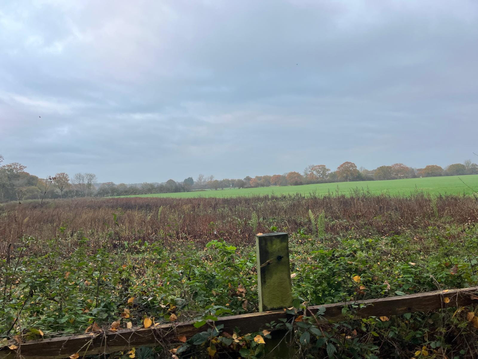 5271a13f 4ddc 4f03 9a96 eb9dcae6068f