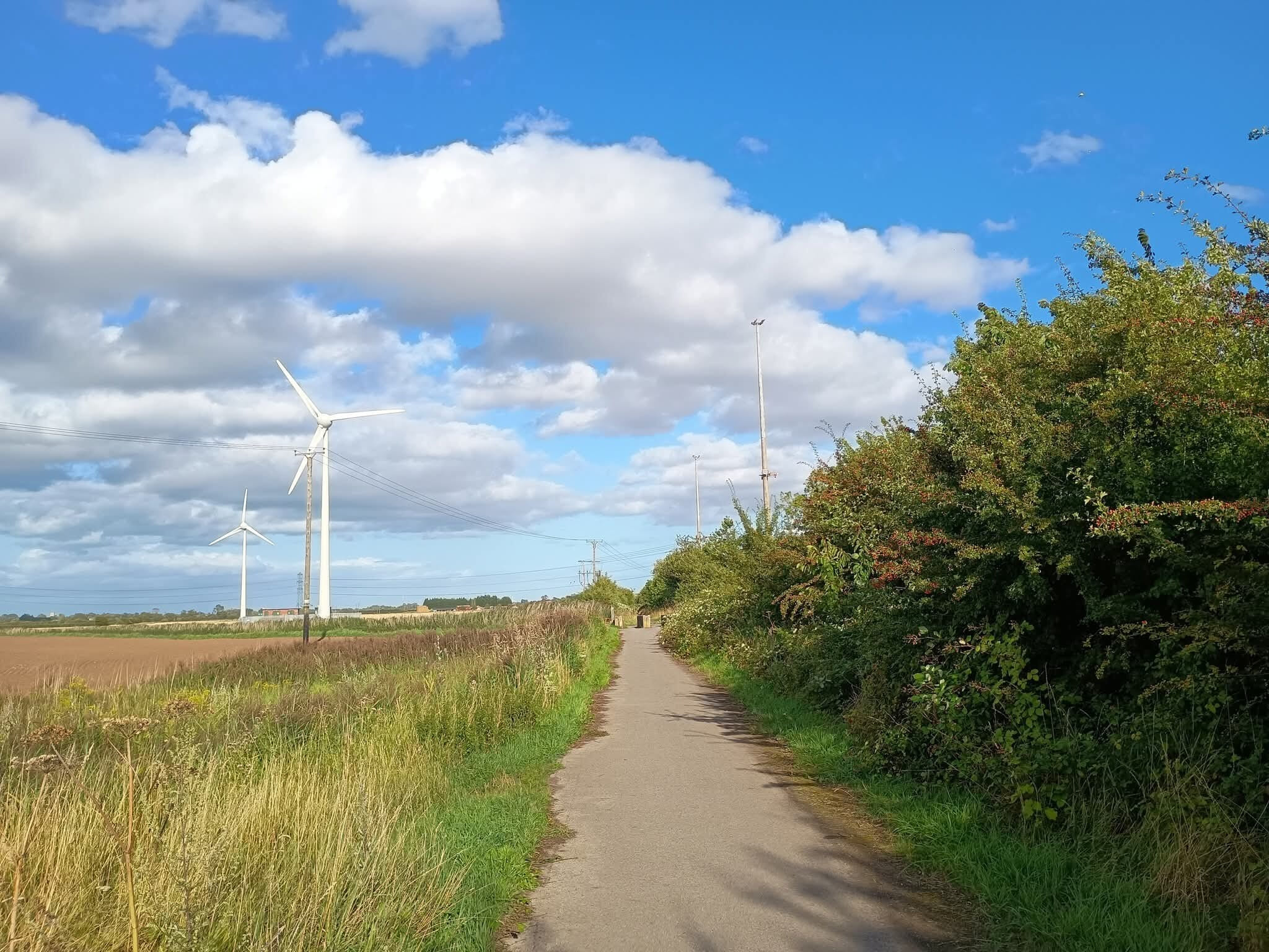 Come and join the day of running and aim to complete a 5K at your own pace on an out-and-back route along an old railway line (flat) then receive a pick-and-mix medal and goody bag at the finish!