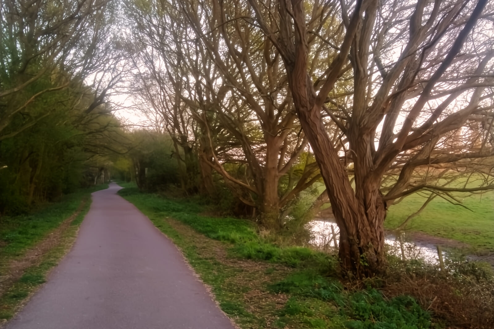 Come and join the day of running and aim to complete a 5K at your own pace on an out-and-back route along an old railway line (nice and flat) then receive a medal and goody bag at the finish!