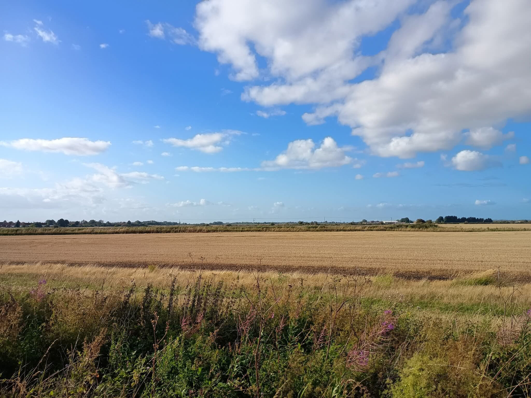 Welcome to a 6-hour timed running event where you can run a 5K all the way up to an ultra marathon on an out-and-back route within the time limit, with fuel stations, medal and goody bag.