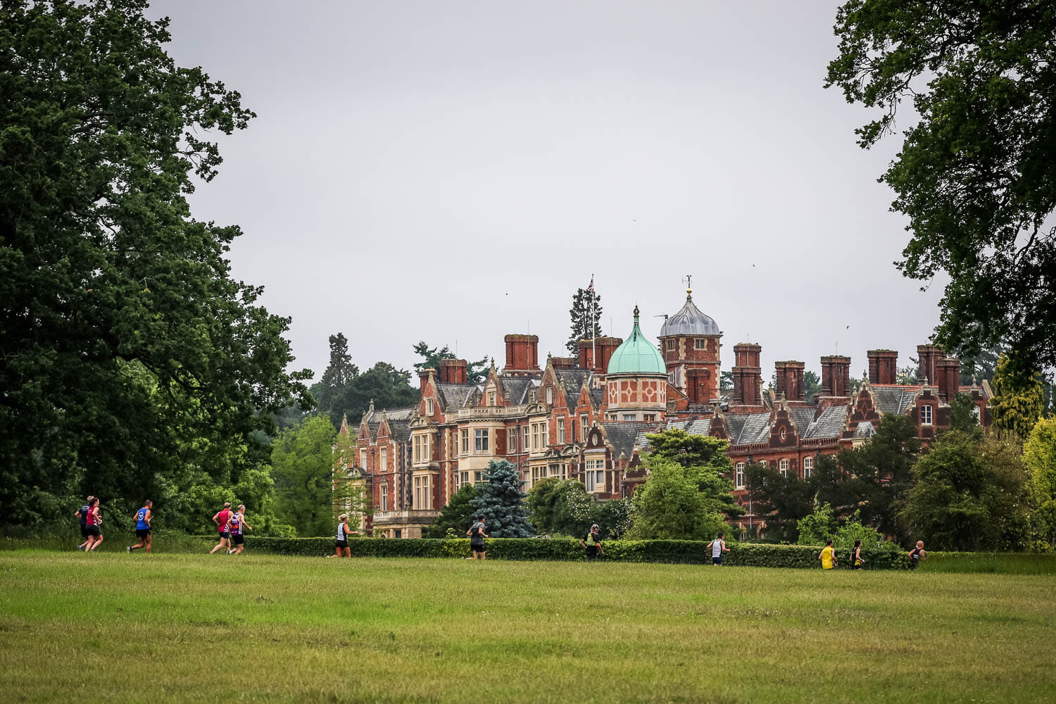 sandringham 55