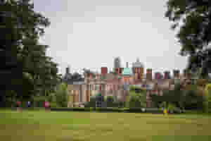 sandringham 55