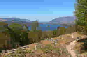 IMG 3290 2 (1)