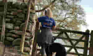 IMG 3345