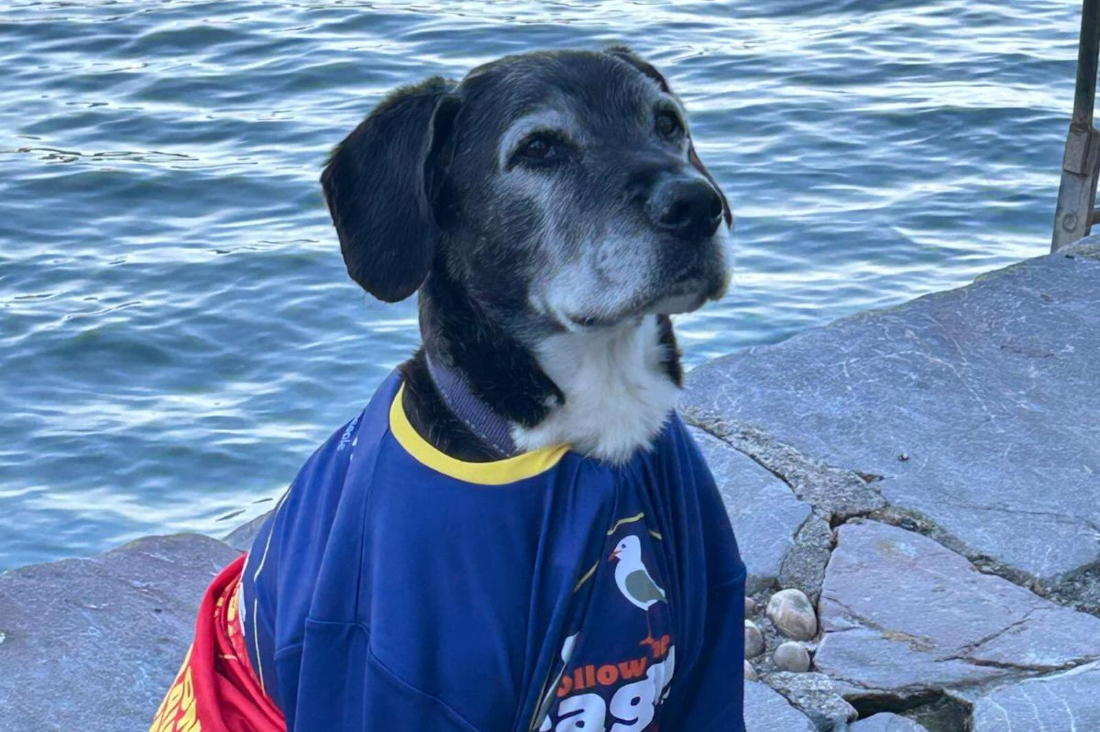 Team Dartmouth FTS Mascot 2025