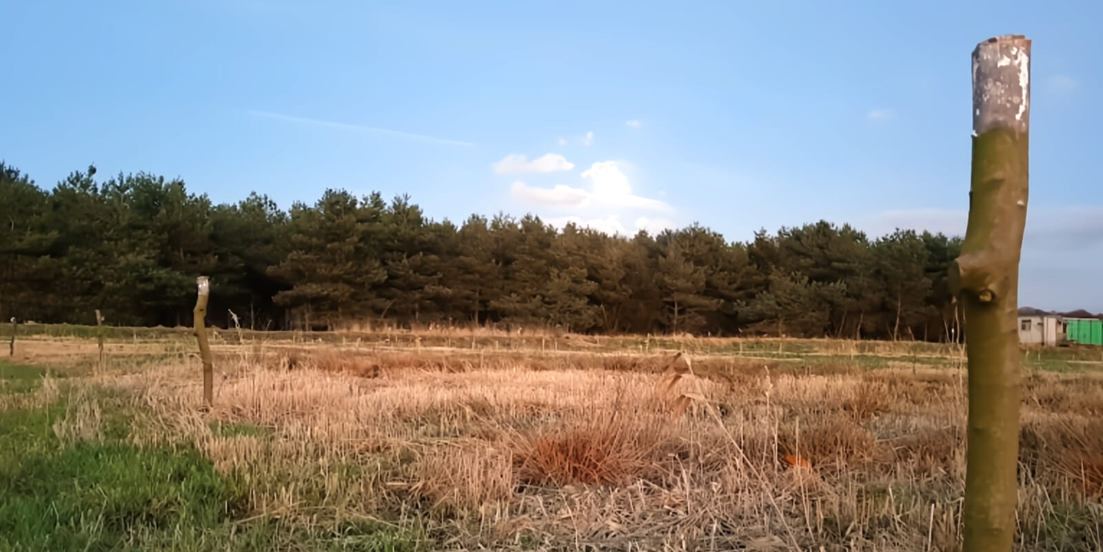 Runners complete two off-road loops through fields and woodland, starting a new loop every hour on the hour. Complete the loop in time, and you start again, until there's one last man standing!