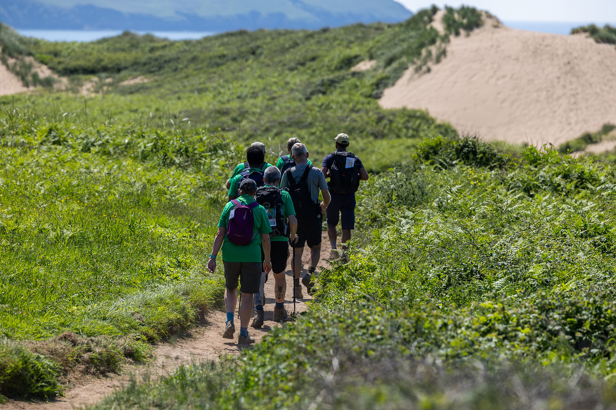 WOOLACOMBE PUTS 0642