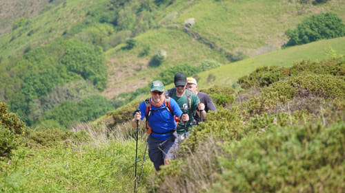 hikers