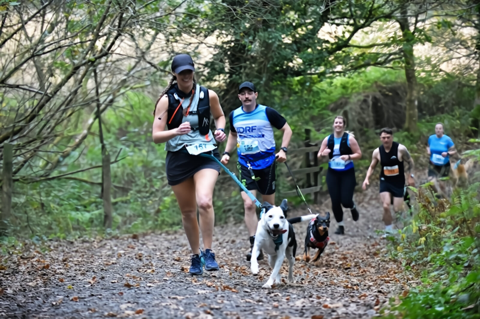 New! Take on a scenic trail challenge on a weekday with your dog, along the River Dart, with rolling hills, woodland paths and breathtaking views through some of Devon’s most beautiful countryside.