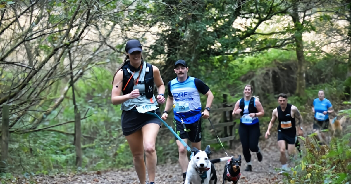 Dart Challenge Fri 21 Nov 2025