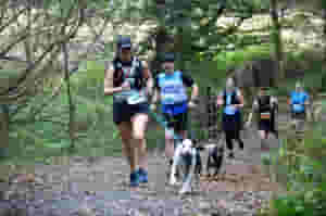 New! Take on a scenic trail challenge on a weekday with your dog, along the River Dart, with rolling hills, woodland paths and breathtaking views through some of Devon’s most beautiful countryside.