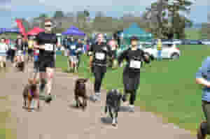 Off-road trail half marathon around the grounds of Escot Park with some tough little climbs along the way. Ideal for runners of all abilities with canicross category too. Medal for every finisher!