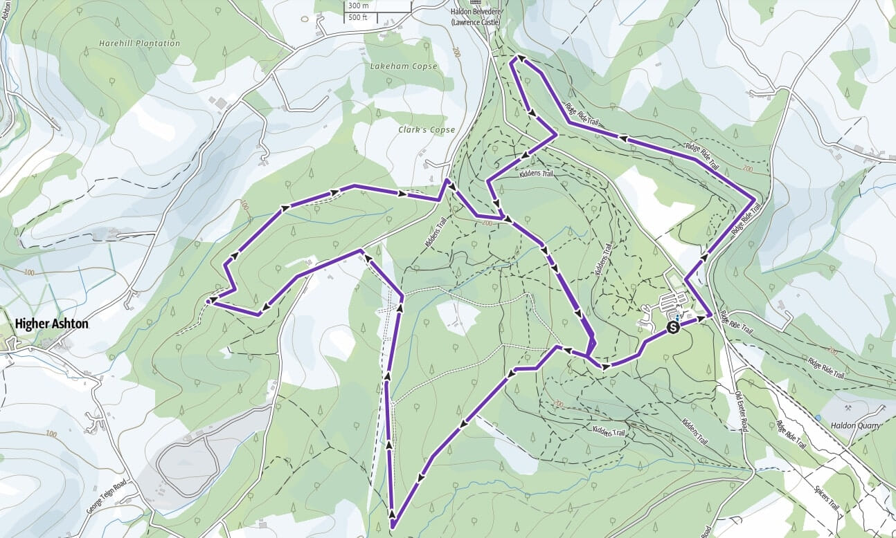 Haldon Night 10K map