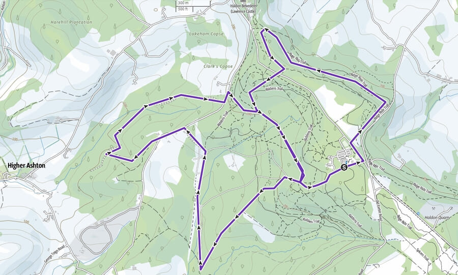 Haldon Night 10K map
