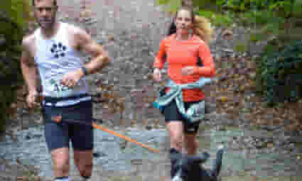 10K Canicross
