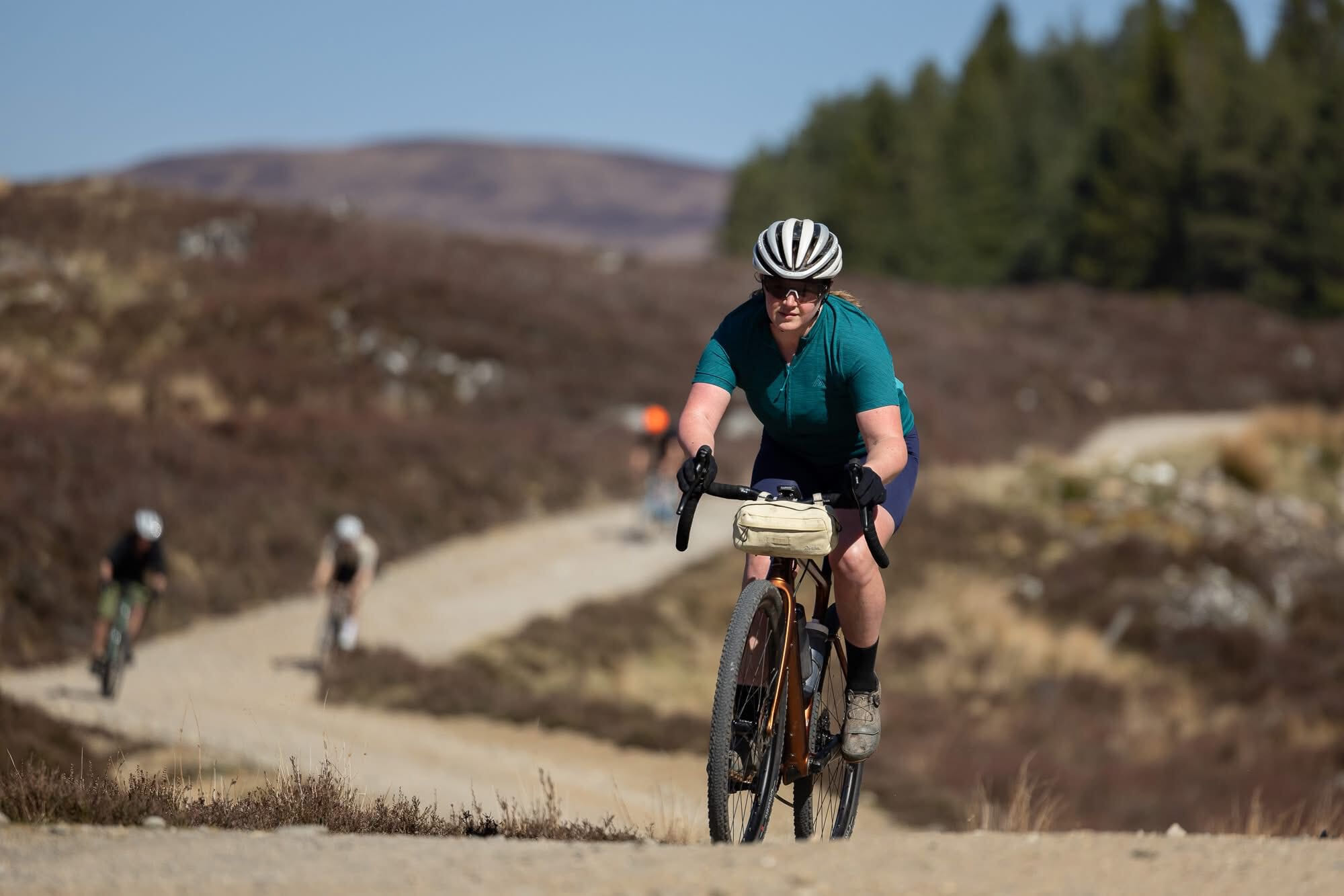 b310763b 0535 4396 84cf f8dc4d65b02c