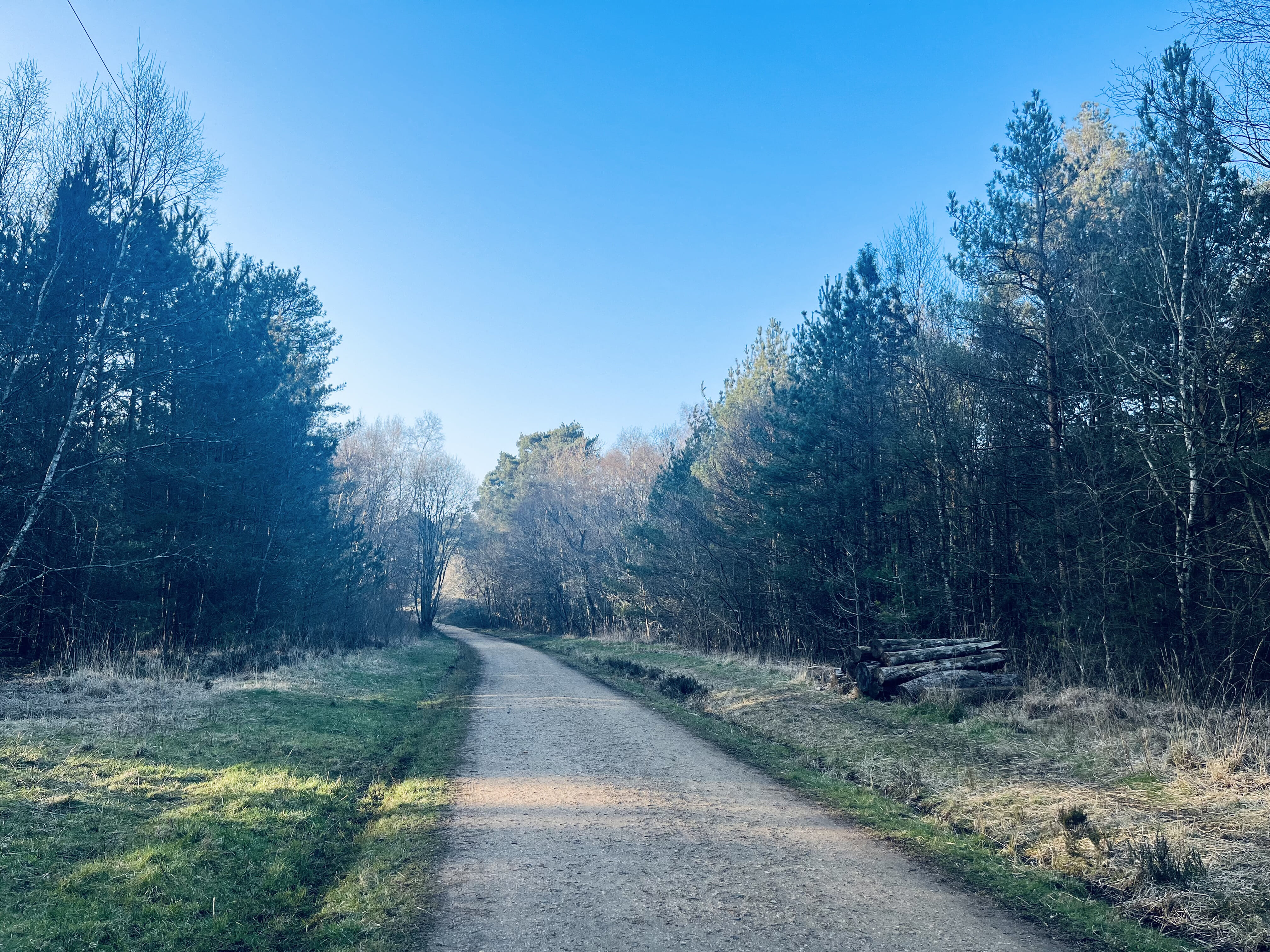 Run your way across the galaxy on a fun, flexible lapped course where you choose the distance, set the pace and earn an out-of-this-world finisher’s medal in the stunning Hurn Forest.
