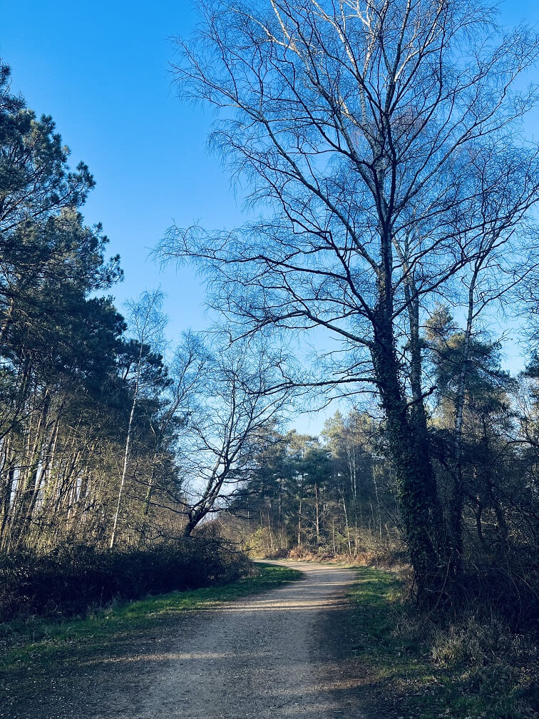 2025 03 05 16 27 50small