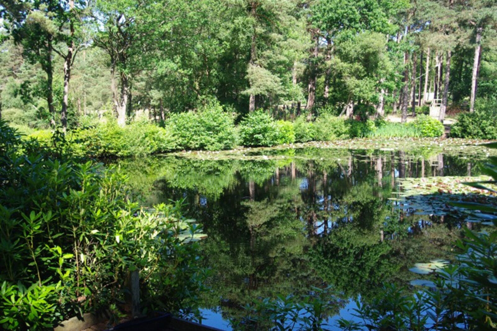 Set in the heart of the beautiful New Forest, with a Grade I listed 'calendar' manor house as the backdrop, this is a technical trail loop suitable for all abilities.