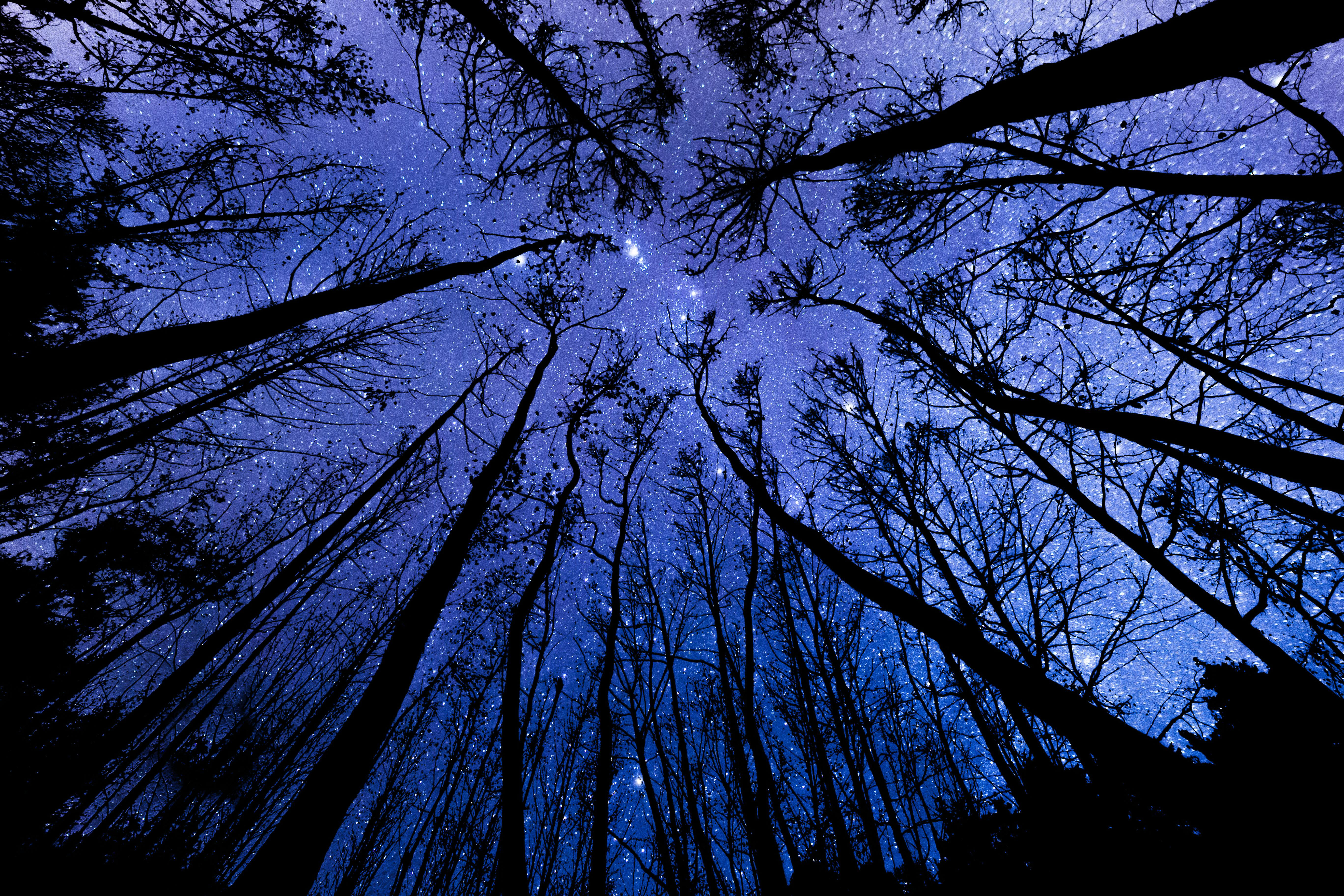 Blast through the trails on a brilliant, lapped course at sunset and take in the twilight sights and sounds of the wonderful Hurn Forest.