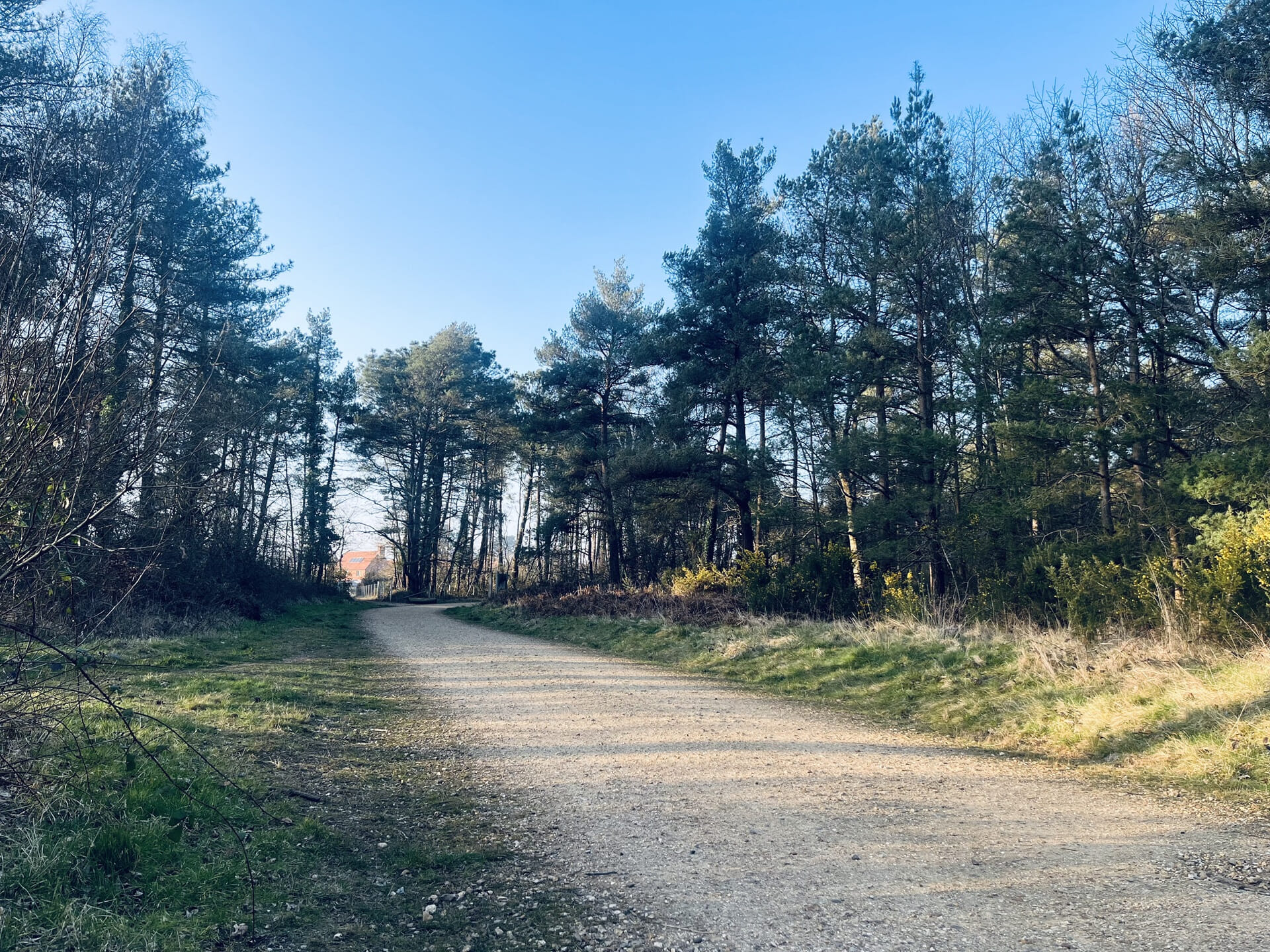 2025 03 05 16 29 18small