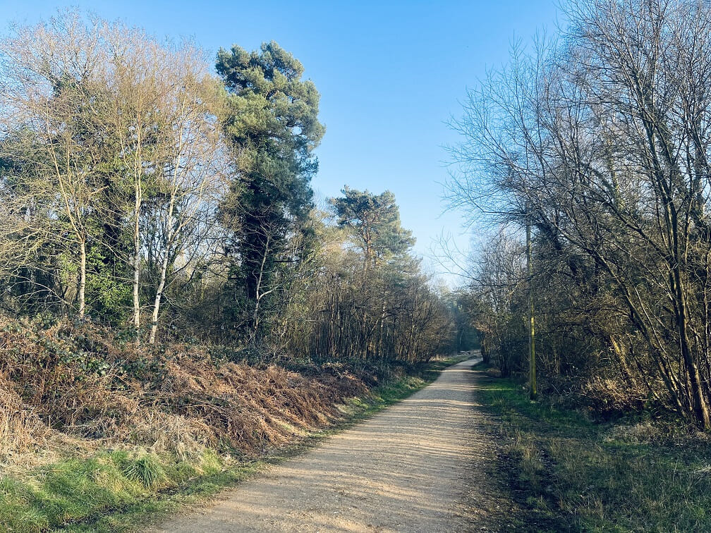 2025 03 05 16 29 39small