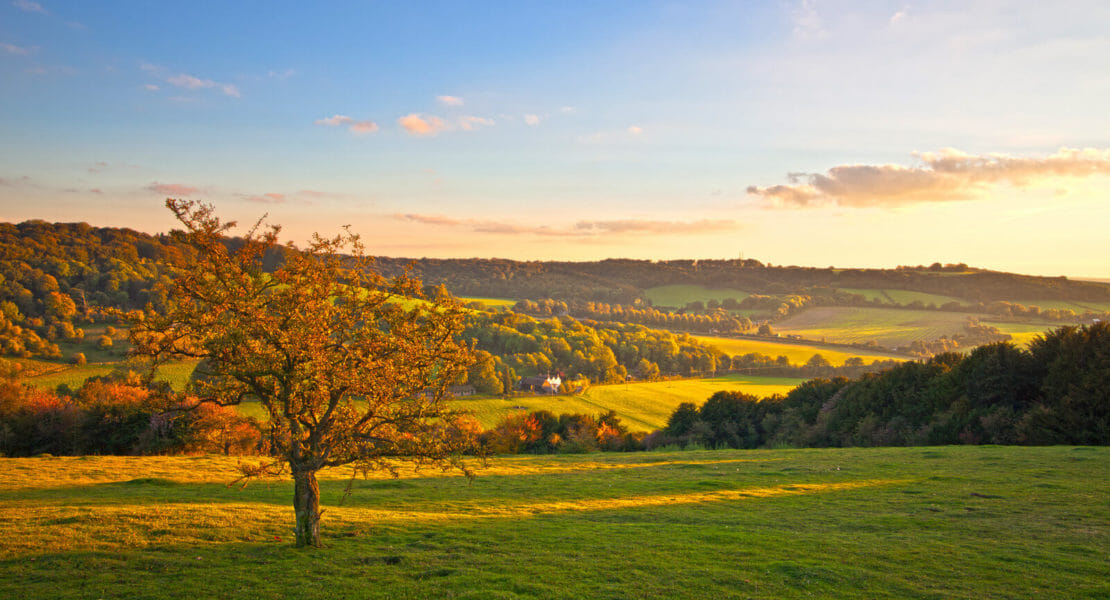 Chiltern 50 Challenge