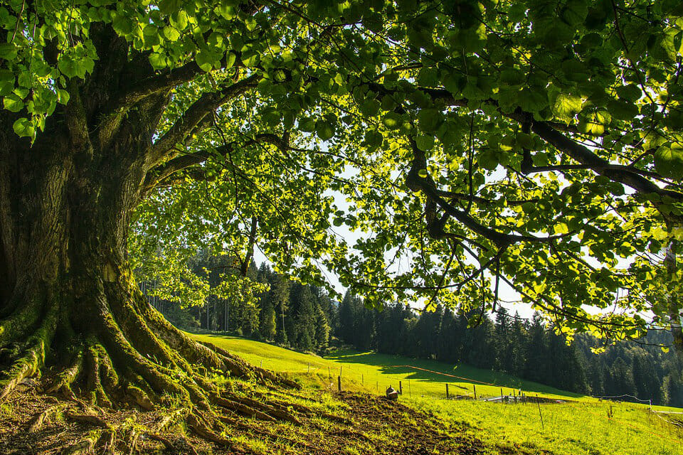 Peak District Ultra Challenge Sat 6 Jul 2024 TimeOutdoors