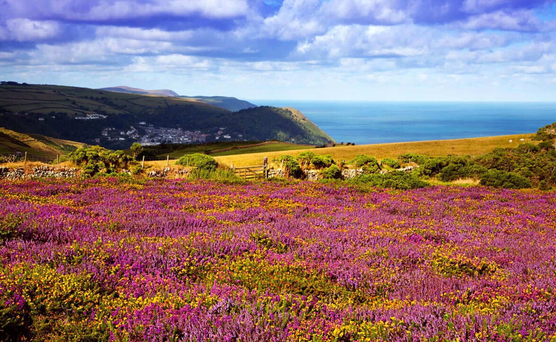 South West Coast 50 Ultra Challenge